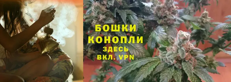 Бошки Шишки OG Kush  как найти закладки  Александровск 